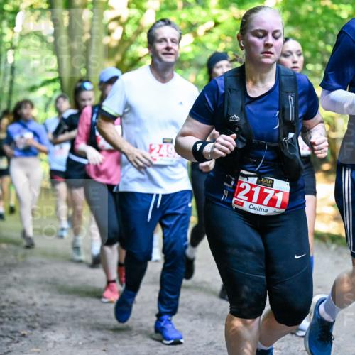 28.09.2025 - 33. Volkslauf durch das schöne Alstertal Dr. Thomas Lammeyer http://msf.ph/oto/8956584 28.09.2025 10:45:21 Laufen 249, 2171, 2302 meine-sportfotos.de