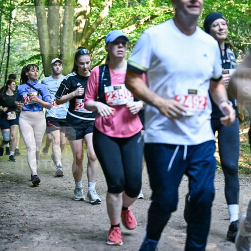 28.09.2025 - 33. Volkslauf durch das schöne Alstertal Dr. Thomas Lammeyer http://msf.ph/oto/8956589 28.09.2025 10:45:21 Laufen 2059, 2, 22, 2492 meine-sportfotos.de