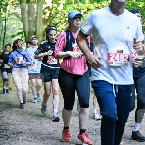 28.09.2025 - 33. Volkslauf durch das schöne Alstertal Dr. Thomas Lammeyer http://msf.ph/oto/8956590 28.09.2025 10:45:21 Laufen 219, 2249, 2492, 23, 21481 meine-sportfotos.de