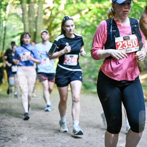 28.09.2025 - 33. Volkslauf durch das schöne Alstertal Dr. Thomas Lammeyer http://msf.ph/oto/8956593 28.09.2025 10:45:22 Laufen 2249, 2350 meine-sportfotos.de