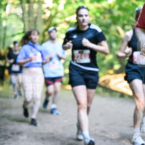28.09.2025 - 33. Volkslauf durch das schöne Alstertal Dr. Thomas Lammeyer http://msf.ph/oto/8956596 28.09.2025 10:45:23 Laufen 235 meine-sportfotos.de