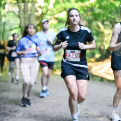 28.09.2025 - 33. Volkslauf durch das schöne Alstertal Dr. Thomas Lammeyer http://msf.ph/oto/8956597 28.09.2025 10:45:23 Laufen 2249 meine-sportfotos.de