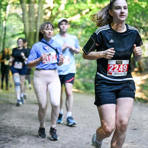 28.09.2025 - 33. Volkslauf durch das schöne Alstertal Dr. Thomas Lammeyer http://msf.ph/oto/8956599 28.09.2025 10:45:23 Laufen 2249 meine-sportfotos.de