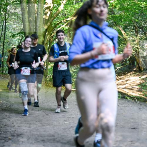 28.09.2025 - 33. Volkslauf durch das schöne Alstertal Dr. Thomas Lammeyer http://msf.ph/oto/8956605 28.09.2025 10:45:24 Laufen 368, 2059 meine-sportfotos.de