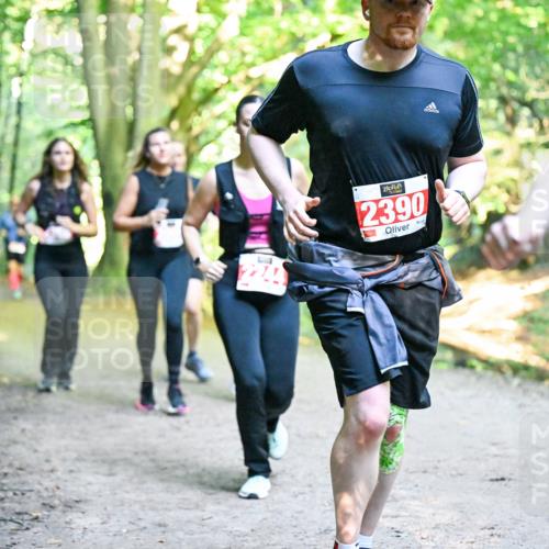 28.09.2025 - 33. Volkslauf durch das schöne Alstertal Dr. Thomas Lammeyer http://msf.ph/oto/8956624 28.09.2025 10:45:27 Laufen 2390 meine-sportfotos.de