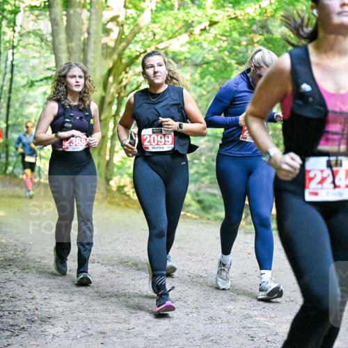 28.09.2025 - 33. Volkslauf durch das schöne Alstertal Dr. Thomas Lammeyer http://msf.ph/oto/8956629 28.09.2025 10:45:28 Laufen 2368, 2099, 2244 meine-sportfotos.de