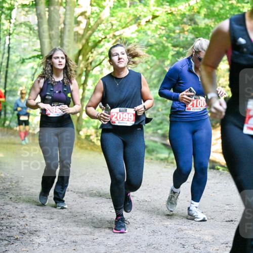 28.09.2025 - 33. Volkslauf durch das schöne Alstertal Dr. Thomas Lammeyer http://msf.ph/oto/8956630 28.09.2025 10:45:28 Laufen 2099, 2100, 2244 meine-sportfotos.de