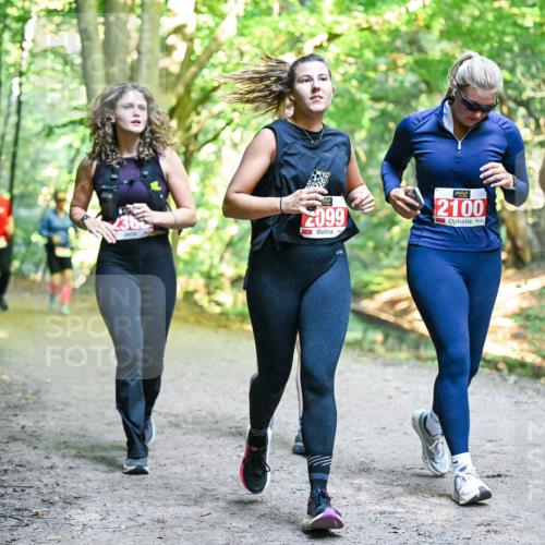 28.09.2025 - 33. Volkslauf durch das schöne Alstertal Dr. Thomas Lammeyer http://msf.ph/oto/8956632 28.09.2025 10:45:28 Laufen 2099, 2100 meine-sportfotos.de