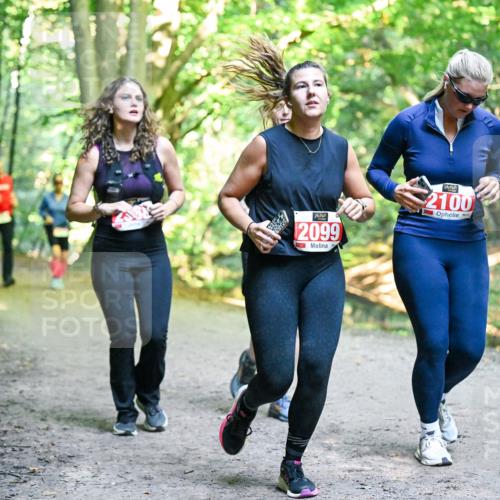 28.09.2025 - 33. Volkslauf durch das schöne Alstertal Dr. Thomas Lammeyer http://msf.ph/oto/8956633 28.09.2025 10:45:29 Laufen 2099, 2100 meine-sportfotos.de