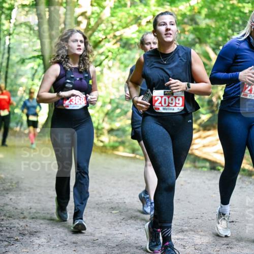 28.09.2025 - 33. Volkslauf durch das schöne Alstertal Dr. Thomas Lammeyer http://msf.ph/oto/8956635 28.09.2025 10:45:29 Laufen 368, 2099, 2100 meine-sportfotos.de
