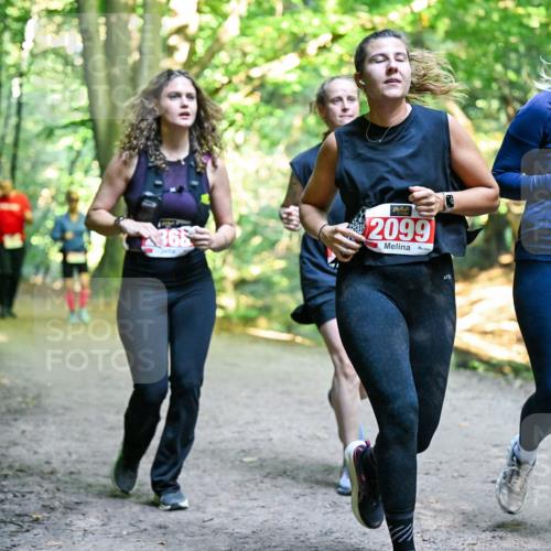 28.09.2025 - 33. Volkslauf durch das schöne Alstertal Dr. Thomas Lammeyer http://msf.ph/oto/8956636 28.09.2025 10:45:29 Laufen 366, 2099, 2100 meine-sportfotos.de