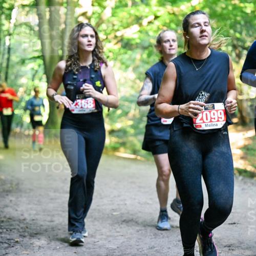 28.09.2025 - 33. Volkslauf durch das schöne Alstertal Dr. Thomas Lammeyer http://msf.ph/oto/8956637 28.09.2025 10:45:29 Laufen 2368, 2099, 2100 meine-sportfotos.de