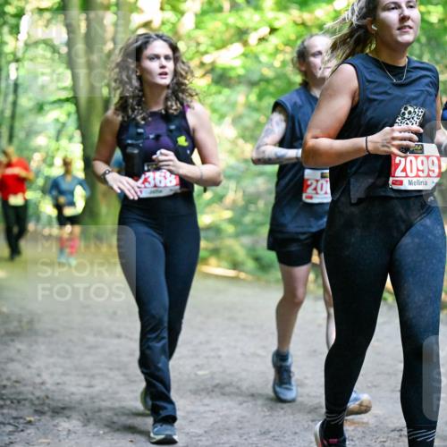 28.09.2025 - 33. Volkslauf durch das schöne Alstertal Dr. Thomas Lammeyer http://msf.ph/oto/8956638 28.09.2025 10:45:29 Laufen 2099, 368, 20, 2100 meine-sportfotos.de