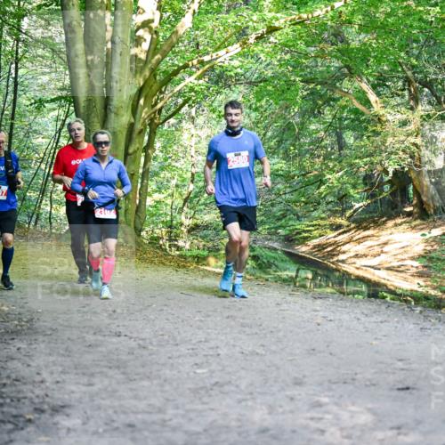 28.09.2025 - 33. Volkslauf durch das schöne Alstertal Dr. Thomas Lammeyer http://msf.ph/oto/8956649 28.09.2025 10:45:32 Laufen 2557, 2007, 2102 meine-sportfotos.de