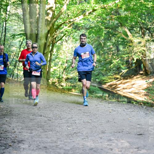28.09.2025 - 33. Volkslauf durch das schöne Alstertal Dr. Thomas Lammeyer http://msf.ph/oto/8956652 28.09.2025 10:45:32 Laufen 2002, 2007, 2102, 2580 meine-sportfotos.de
