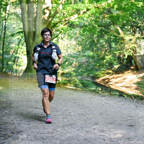 28.09.2025 - 33. Volkslauf durch das schöne Alstertal Dr. Thomas Lammeyer http://msf.ph/oto/8956690 28.09.2025 10:45:38 Laufen 2557 meine-sportfotos.de