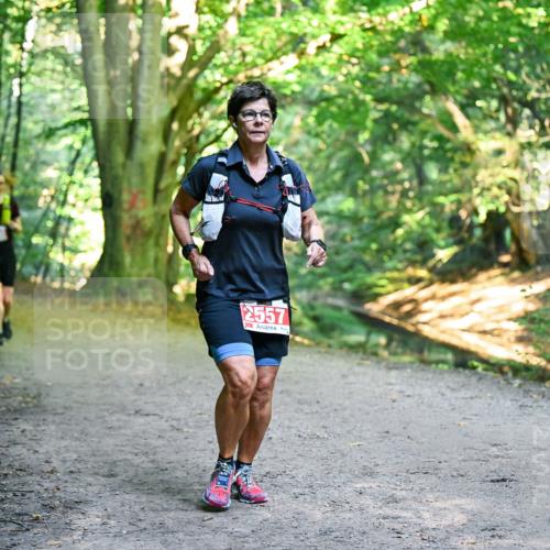 28.09.2025 - 33. Volkslauf durch das schöne Alstertal Dr. Thomas Lammeyer http://msf.ph/oto/8956695 28.09.2025 10:45:39 Laufen 2557 meine-sportfotos.de