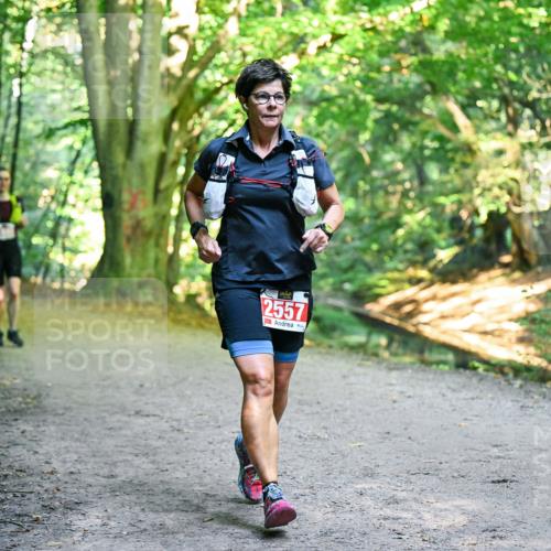 28.09.2025 - 33. Volkslauf durch das schöne Alstertal Dr. Thomas Lammeyer http://msf.ph/oto/8956696 28.09.2025 10:45:39 Laufen 2557 meine-sportfotos.de