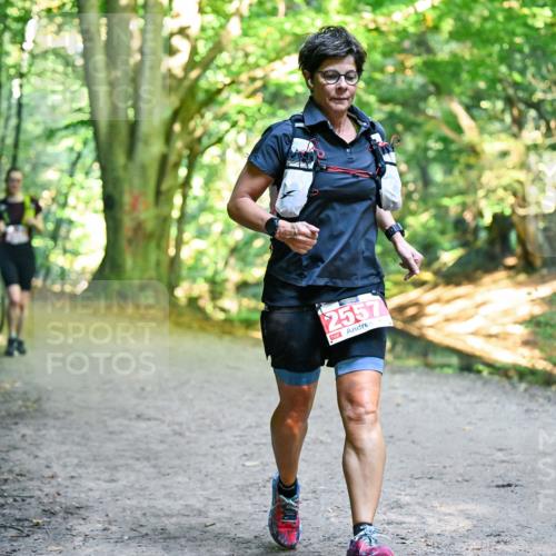 28.09.2025 - 33. Volkslauf durch das schöne Alstertal Dr. Thomas Lammeyer http://msf.ph/oto/8956698 28.09.2025 10:45:39 Laufen 2557 meine-sportfotos.de