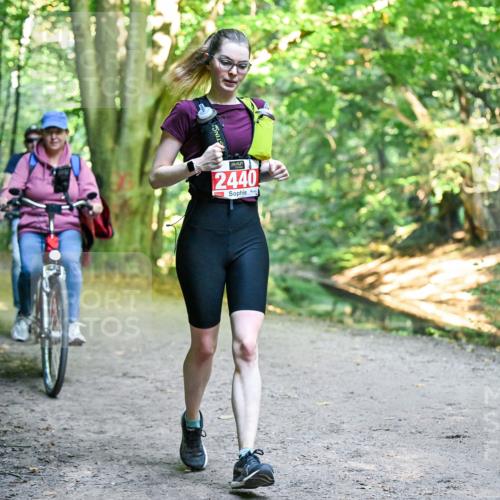 28.09.2025 - 33. Volkslauf durch das schöne Alstertal Dr. Thomas Lammeyer http://msf.ph/oto/8956704 28.09.2025 10:45:43 Laufen 2440 meine-sportfotos.de