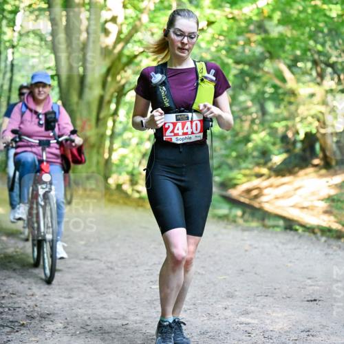 28.09.2025 - 33. Volkslauf durch das schöne Alstertal Dr. Thomas Lammeyer http://msf.ph/oto/8956706 28.09.2025 10:45:44 Laufen 2440 meine-sportfotos.de
