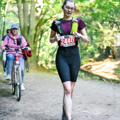 28.09.2025 - 33. Volkslauf durch das schöne Alstertal Dr. Thomas Lammeyer http://msf.ph/oto/8956707 28.09.2025 10:45:44 Laufen 2440 meine-sportfotos.de