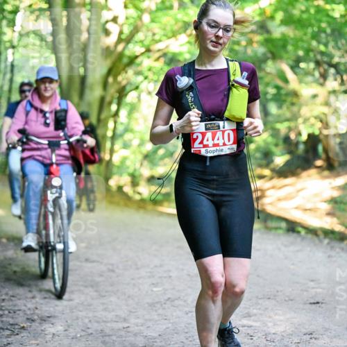 28.09.2025 - 33. Volkslauf durch das schöne Alstertal Dr. Thomas Lammeyer http://msf.ph/oto/8956708 28.09.2025 10:45:44 Laufen 2440 meine-sportfotos.de