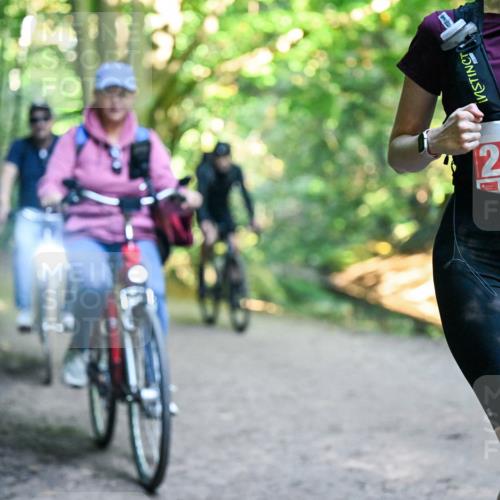 28.09.2025 - 33. Volkslauf durch das schöne Alstertal Dr. Thomas Lammeyer http://msf.ph/oto/8956715 28.09.2025 10:45:45 Laufen 2440 meine-sportfotos.de