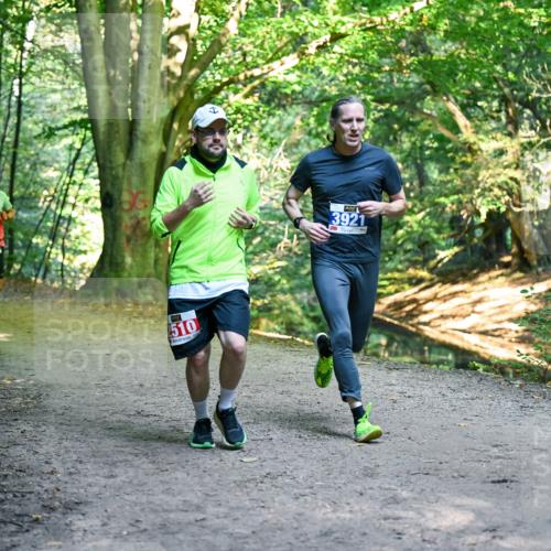 28.09.2025 - 33. Volkslauf durch das schöne Alstertal Dr. Thomas Lammeyer http://msf.ph/oto/8956726 28.09.2025 10:45:50 Laufen 3101, 510, 3921 meine-sportfotos.de