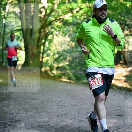 28.09.2025 - 33. Volkslauf durch das schöne Alstertal Dr. Thomas Lammeyer http://msf.ph/oto/8956740 28.09.2025 10:45:52 Laufen 2510 meine-sportfotos.de