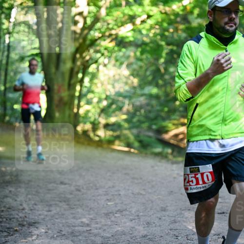 28.09.2025 - 33. Volkslauf durch das schöne Alstertal Dr. Thomas Lammeyer http://msf.ph/oto/8956743 28.09.2025 10:45:52 Laufen 2510 meine-sportfotos.de
