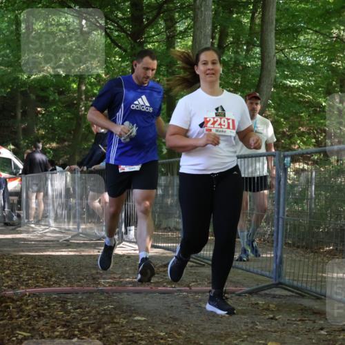 28.09.2025 - 33. Volkslauf durch das schöne Alstertal Strokosch-Dieckow http://msf.ph/oto/8956935 28.09.2025 12:58:55 Ziel 2290, 2291 meine-sportfotos.de