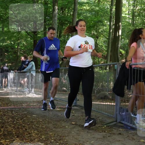 28.09.2025 - 33. Volkslauf durch das schöne Alstertal Strokosch-Dieckow http://msf.ph/oto/8956942 28.09.2025 12:58:56 Ziel 2290 meine-sportfotos.de
