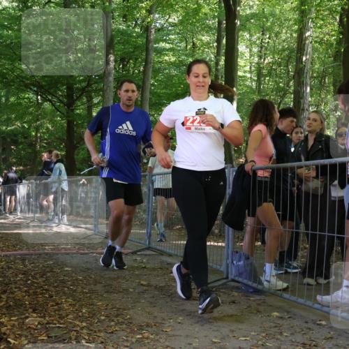 28.09.2025 - 33. Volkslauf durch das schöne Alstertal Strokosch-Dieckow http://msf.ph/oto/8956945 28.09.2025 12:58:56 Ziel 2290 meine-sportfotos.de