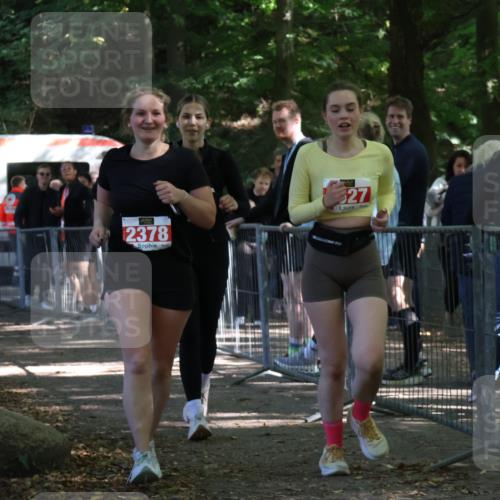 28.09.2025 - 33. Volkslauf durch das schöne Alstertal Strokosch-Dieckow http://msf.ph/oto/8957234 28.09.2025 13:02:16 Ziel 2247, 2378, 2527 meine-sportfotos.de