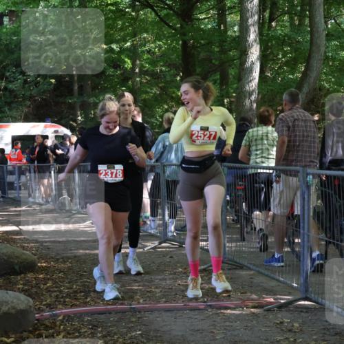 28.09.2025 - 33. Volkslauf durch das schöne Alstertal Strokosch-Dieckow http://msf.ph/oto/8957252 28.09.2025 13:02:17 Ziel 2247, 2378, 2527 meine-sportfotos.de