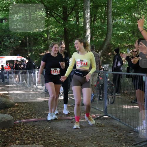 28.09.2025 - 33. Volkslauf durch das schöne Alstertal Strokosch-Dieckow http://msf.ph/oto/8957265 28.09.2025 13:02:18 Ziel 2247, 2378, 2527 meine-sportfotos.de