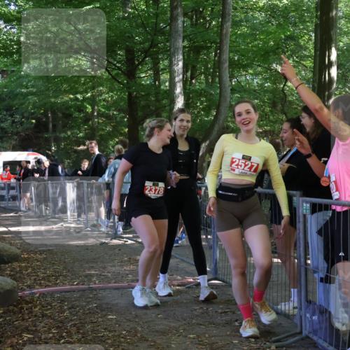 28.09.2025 - 33. Volkslauf durch das schöne Alstertal Strokosch-Dieckow http://msf.ph/oto/8957282 28.09.2025 13:02:19 Ziel 2247, 2378 meine-sportfotos.de