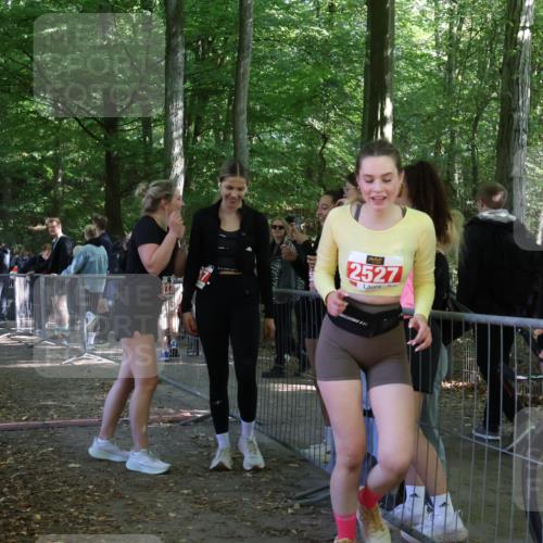28.09.2025 - 33. Volkslauf durch das schöne Alstertal Strokosch-Dieckow http://msf.ph/oto/8957300 28.09.2025 13:02:20 Ziel 2278 meine-sportfotos.de