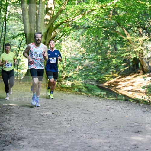 28.09.2025 - 33. Volkslauf durch das schöne Alstertal Dr. Thomas Lammeyer http://msf.ph/oto/8957311 28.09.2025 10:47:53 Laufen 3333, 3046, 3393 meine-sportfotos.de