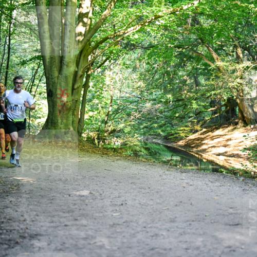28.09.2025 - 33. Volkslauf durch das schöne Alstertal Dr. Thomas Lammeyer http://msf.ph/oto/8957433 28.09.2025 10:48:22 Laufen 5071, 3351, 3188 meine-sportfotos.de