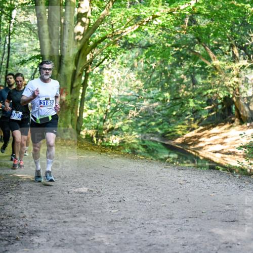 28.09.2025 - 33. Volkslauf durch das schöne Alstertal Dr. Thomas Lammeyer http://msf.ph/oto/8957437 28.09.2025 10:48:23 Laufen 3351, 3188 meine-sportfotos.de