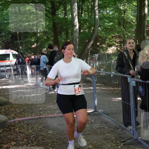 28.09.2025 - 33. Volkslauf durch das schöne Alstertal Strokosch-Dieckow http://msf.ph/oto/8957684 28.09.2025 13:04:17 Ziel 2483 meine-sportfotos.de