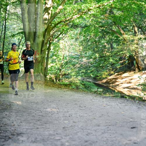28.09.2025 - 33. Volkslauf durch das schöne Alstertal Dr. Thomas Lammeyer http://msf.ph/oto/8957809 28.09.2025 10:49:30 Laufen 3313, 942, 3391 meine-sportfotos.de
