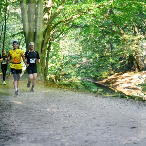 28.09.2025 - 33. Volkslauf durch das schöne Alstertal Dr. Thomas Lammeyer http://msf.ph/oto/8957812 28.09.2025 10:49:30 Laufen 3313, 3942, 3391 meine-sportfotos.de