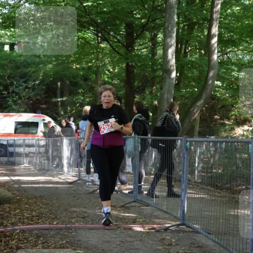 28.09.2025 - 33. Volkslauf durch das schöne Alstertal Strokosch-Dieckow http://msf.ph/oto/8957838 28.09.2025 13:05:43 Ziel 2623 meine-sportfotos.de