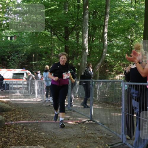 28.09.2025 - 33. Volkslauf durch das schöne Alstertal Strokosch-Dieckow http://msf.ph/oto/8957847 28.09.2025 13:05:43 Ziel 2623 meine-sportfotos.de