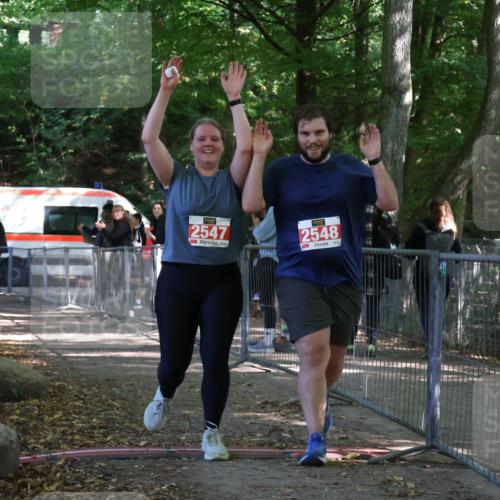 28.09.2025 - 33. Volkslauf durch das schöne Alstertal Strokosch-Dieckow http://msf.ph/oto/8957938 28.09.2025 13:06:10 Ziel 2547, 2548 meine-sportfotos.de