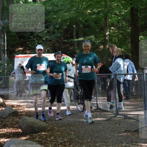 28.09.2025 - 33. Volkslauf durch das schöne Alstertal Strokosch-Dieckow http://msf.ph/oto/8958062 28.09.2025 13:09:07 Ziel 2001, 2002, 2003 meine-sportfotos.de