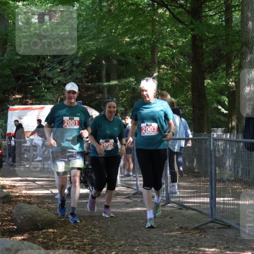 28.09.2025 - 33. Volkslauf durch das schöne Alstertal Strokosch-Dieckow http://msf.ph/oto/8958068 28.09.2025 13:09:08 Ziel 2001, 2002, 2003 meine-sportfotos.de